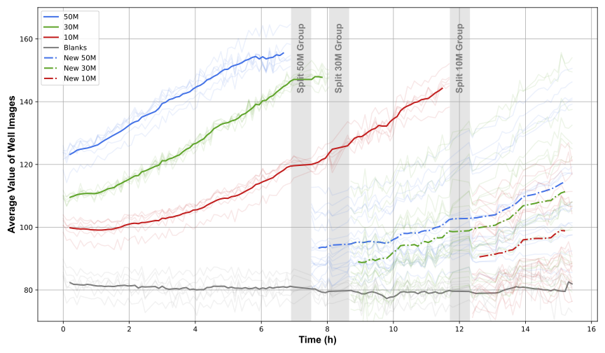 Figure 9: Yeast growth curves
